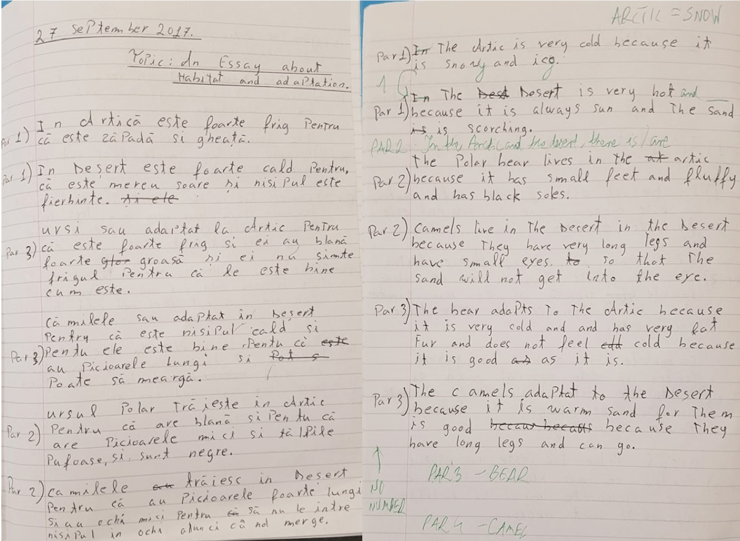 Translated homework1