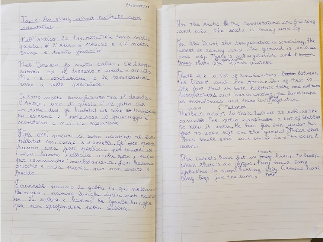 Translated homework2